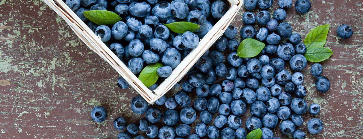 Blueberries-WebHeader.jpg