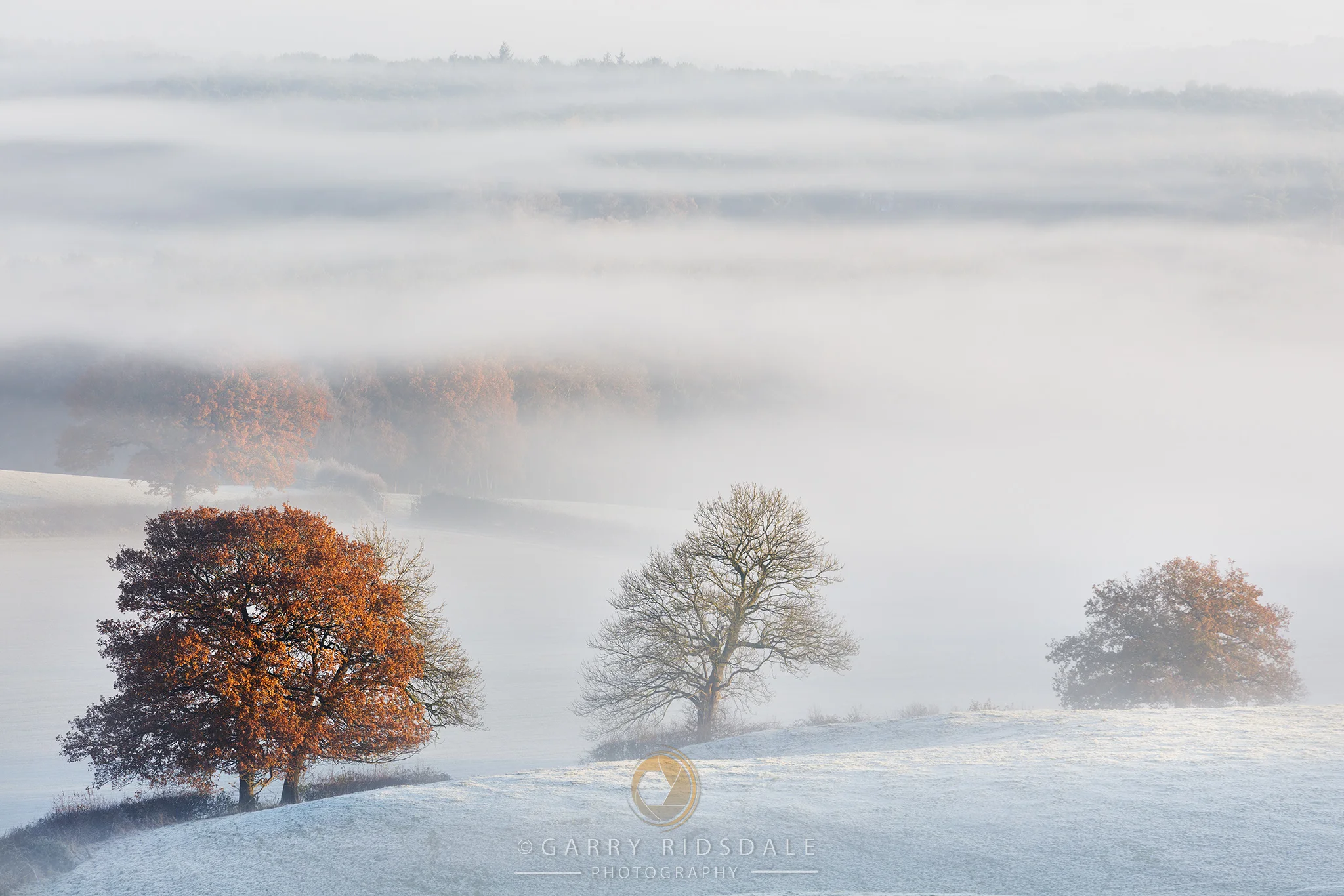Autumn Morning