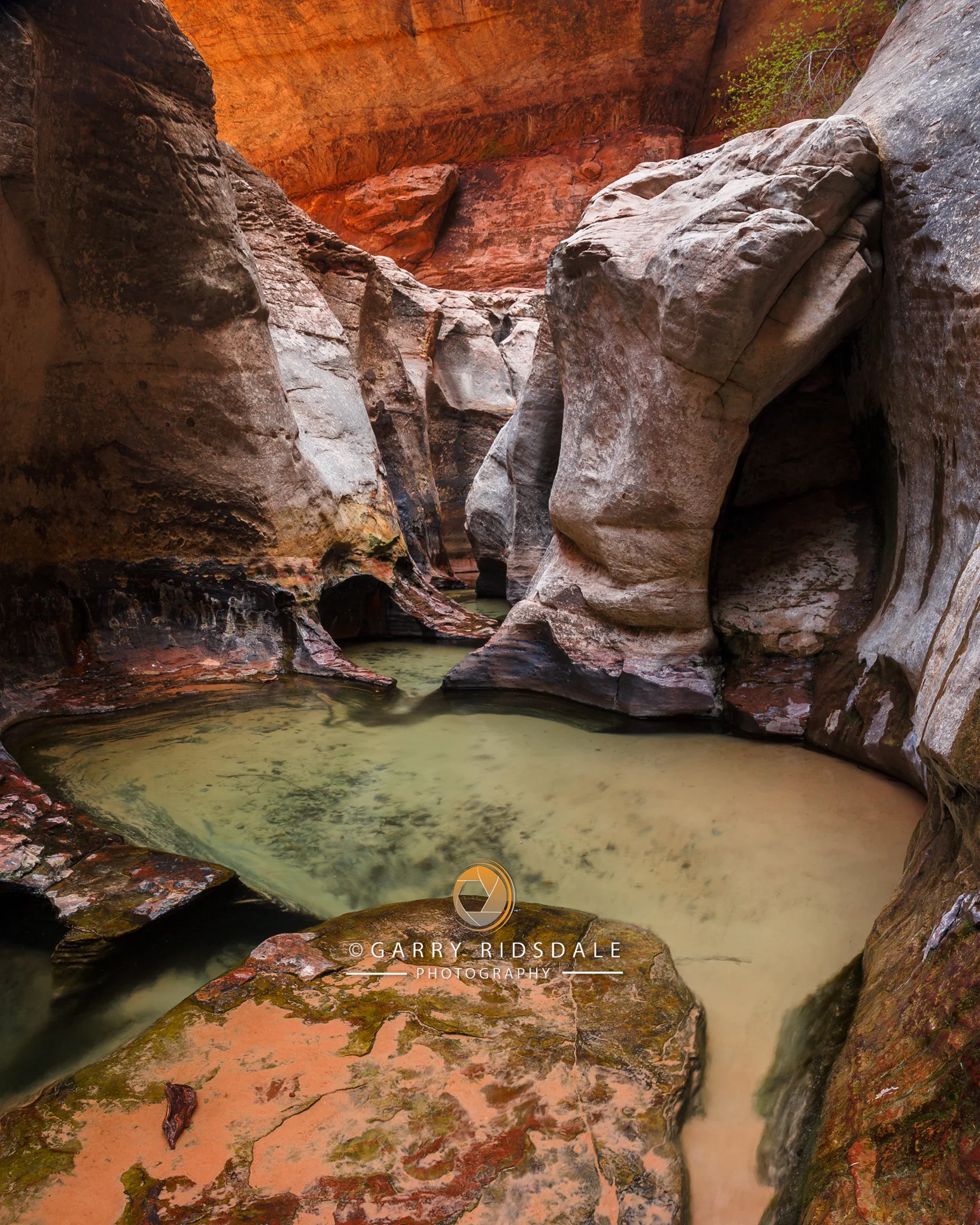 The Hand Of Zion