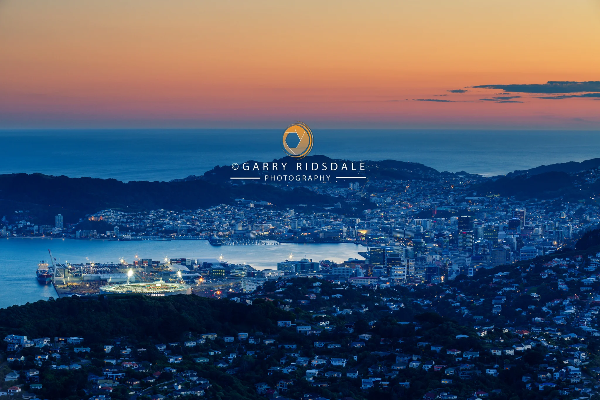 Wellington Skyline