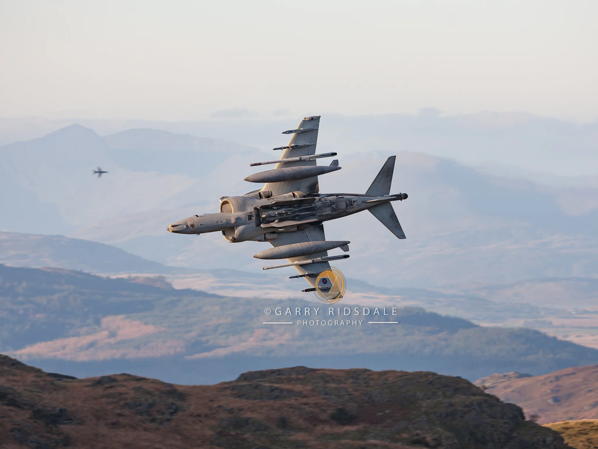 Hawk Chasing a Harrier