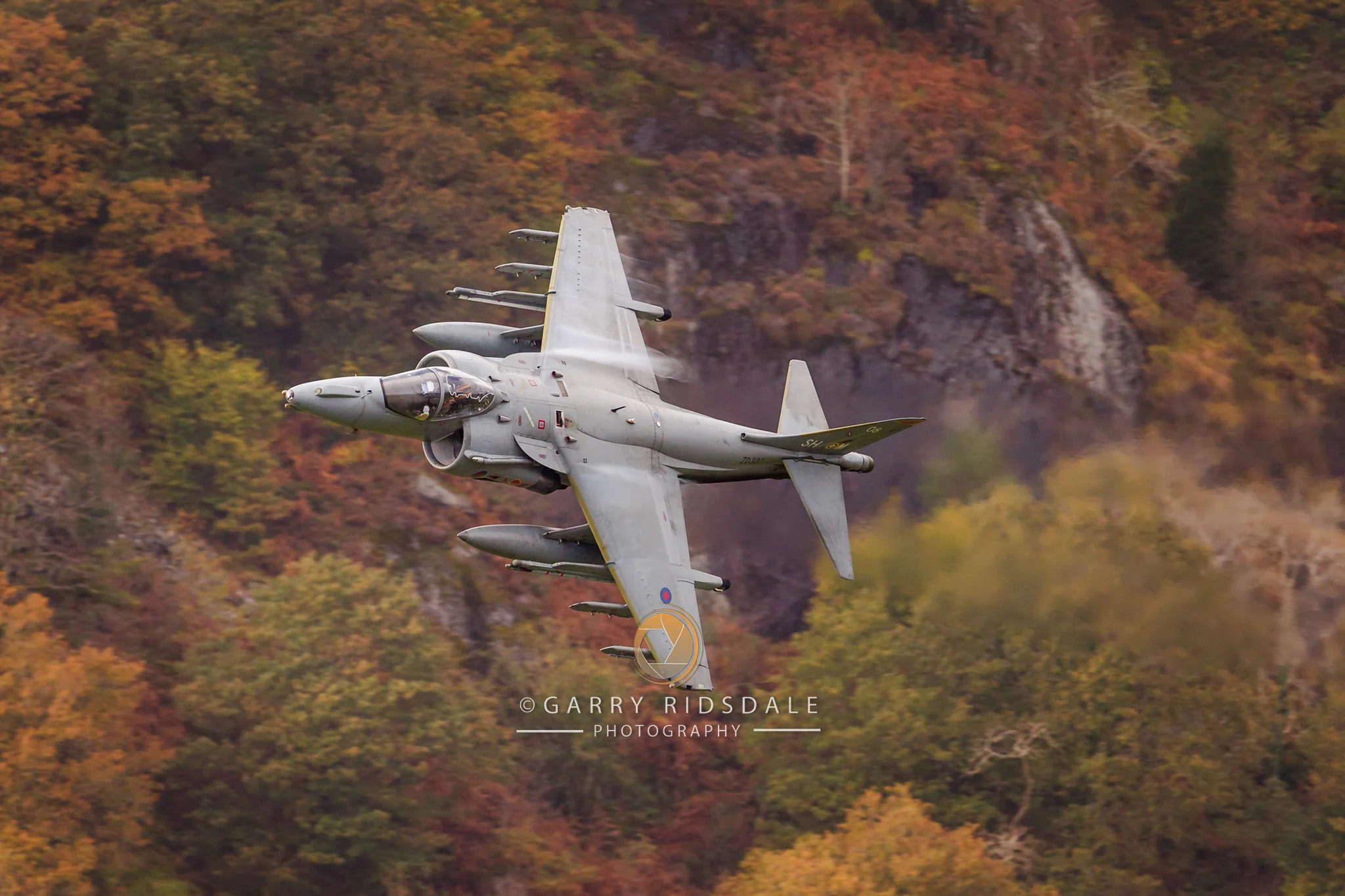 Autumn At Low Level