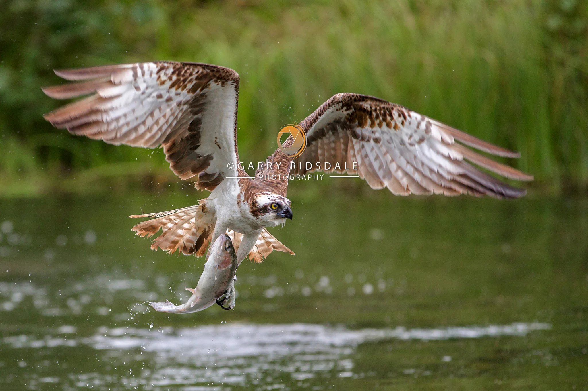 A Fine Catch
