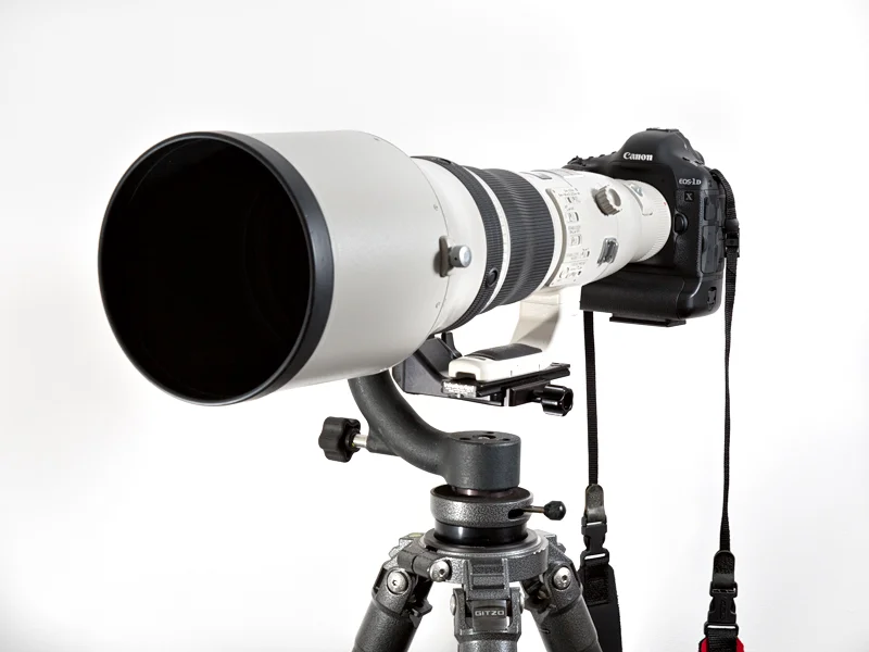 My 800mm f/5.6 mounted on a Gitzo 5541LS and Wimberley Head.