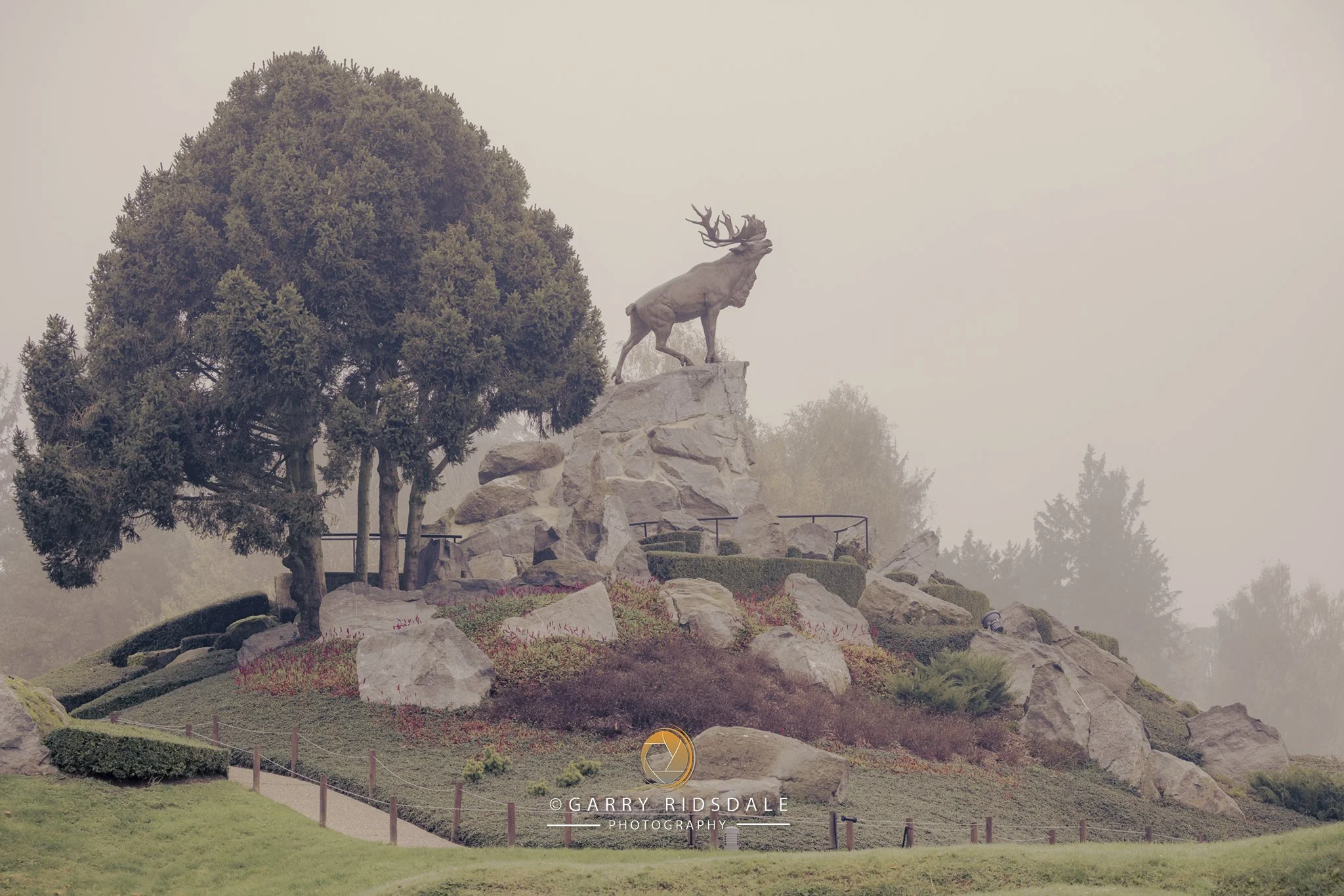 Newfoundland Park Memorial - The Somme
