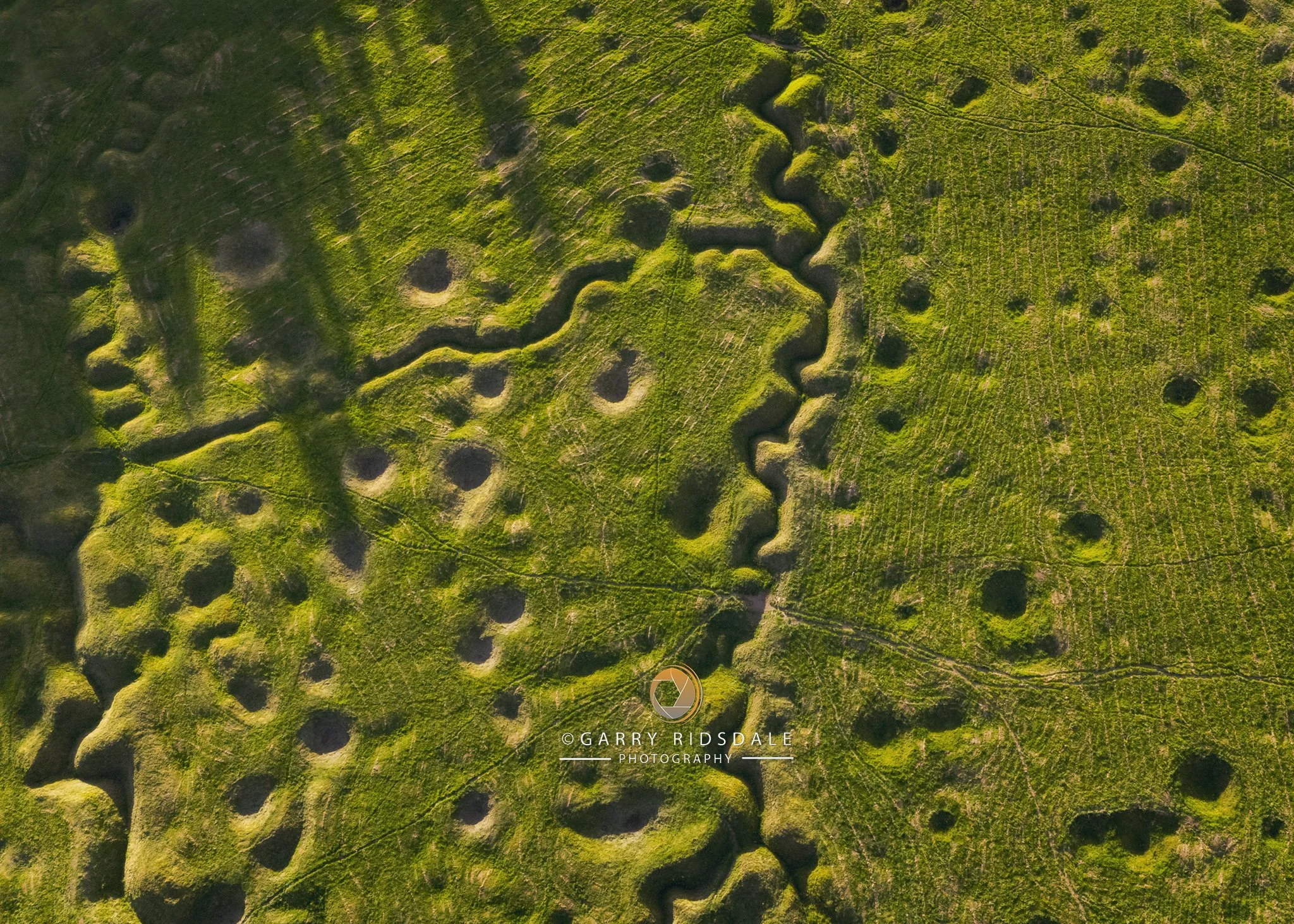 Newfoundland Park