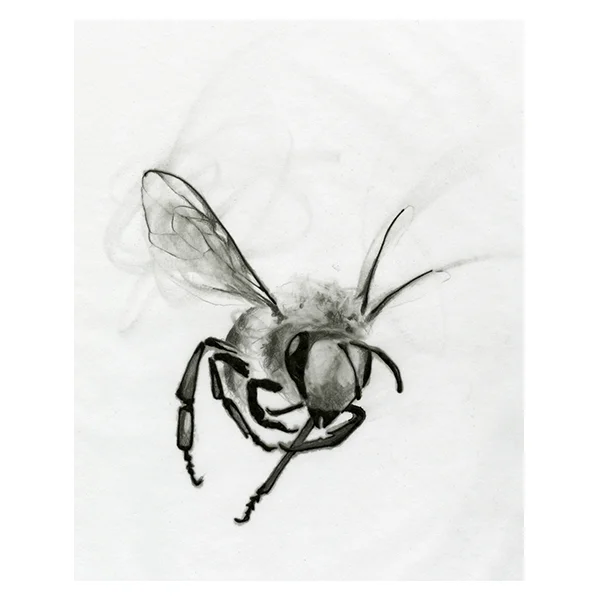 bee_03_accent_decor.jpg