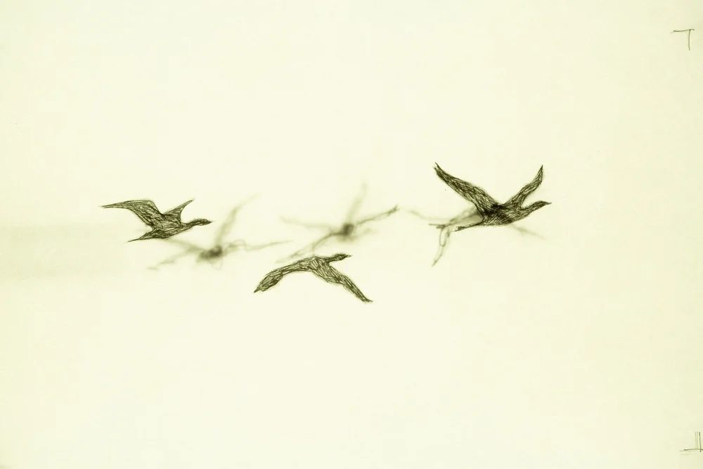 Animation Frame-1.jpg