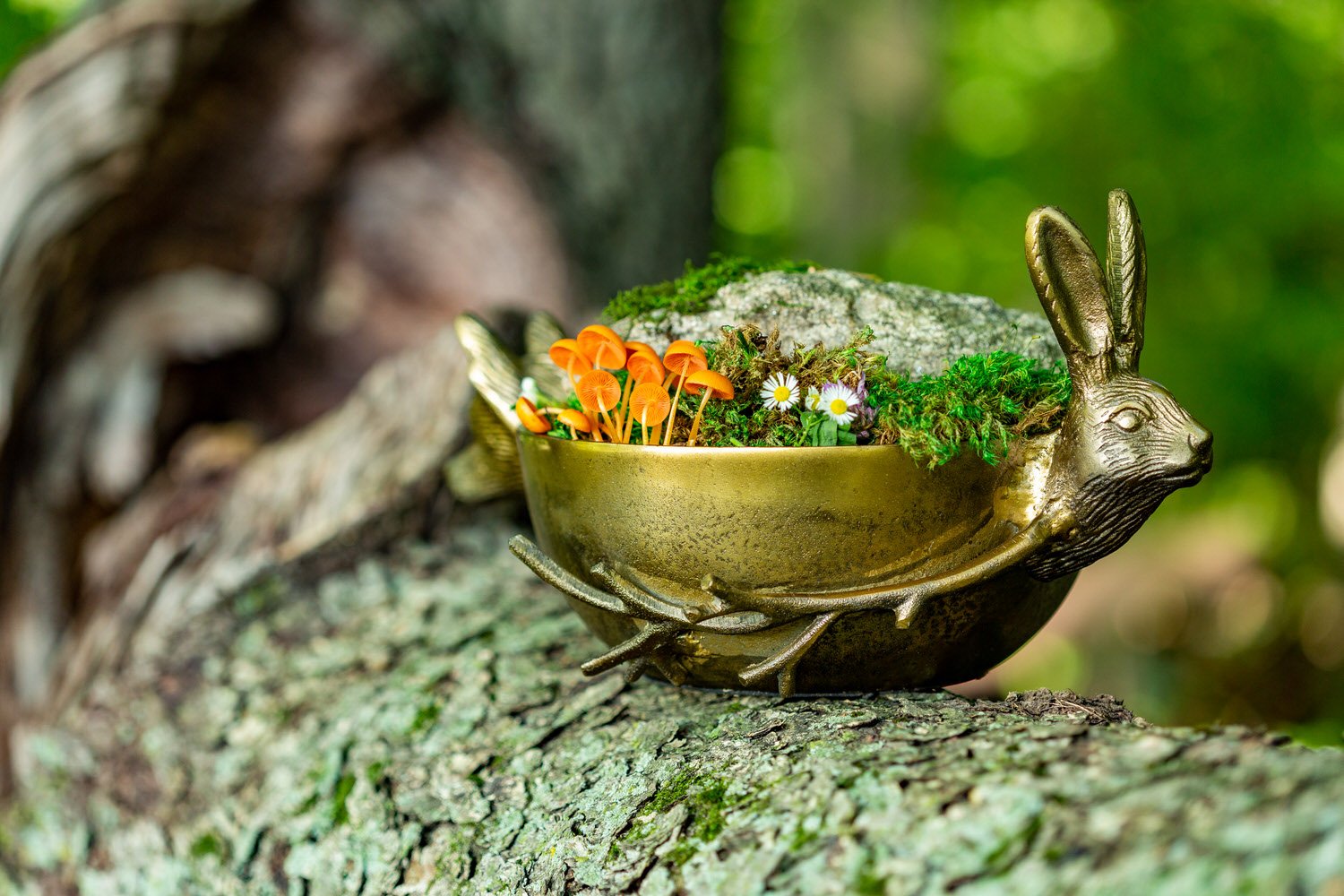 Kolokythi Wide Decorative Bowl - Coral | OKA