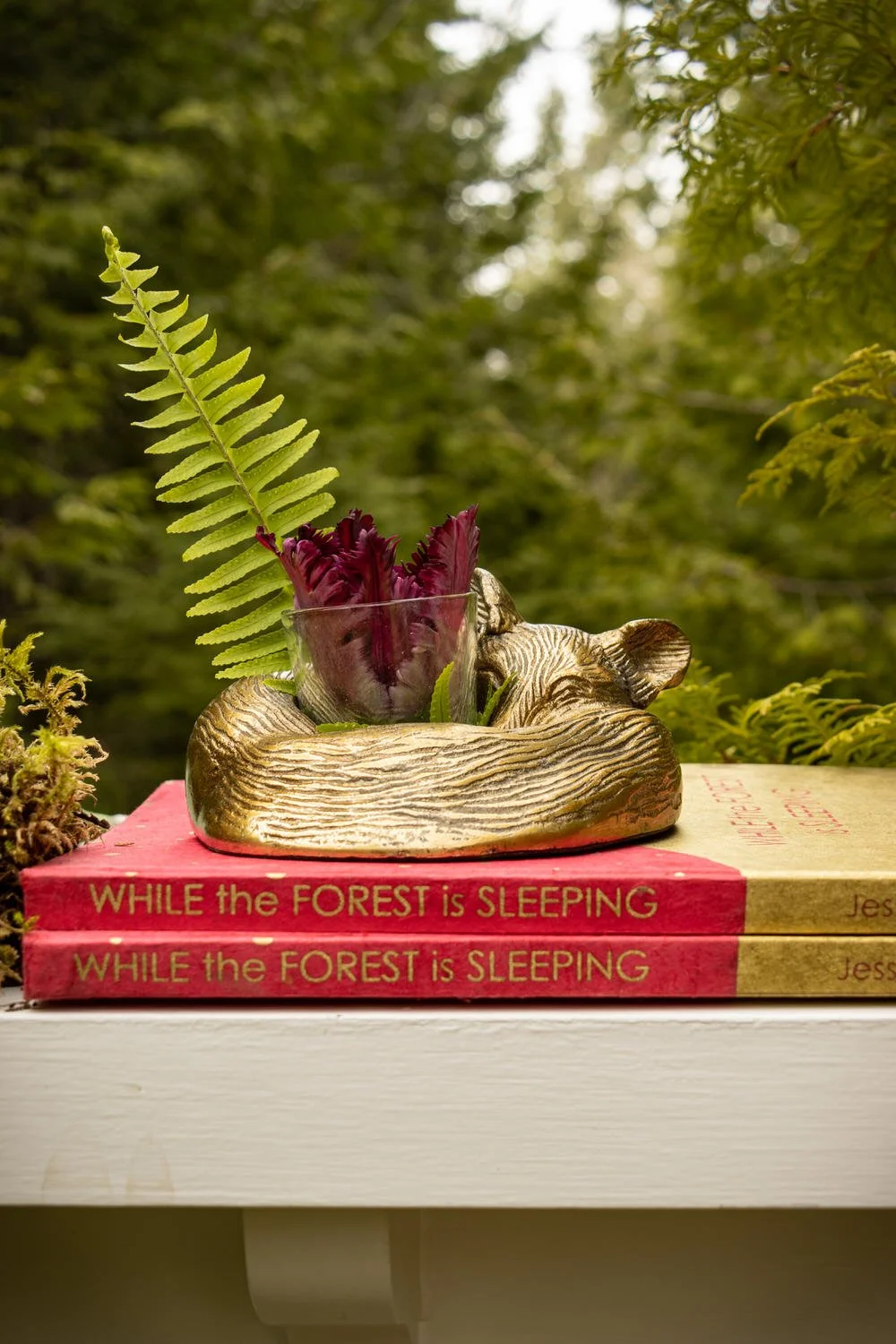 eric-and-eloise-storybook-while-the-forest-is-sleeping_1500px.JPG