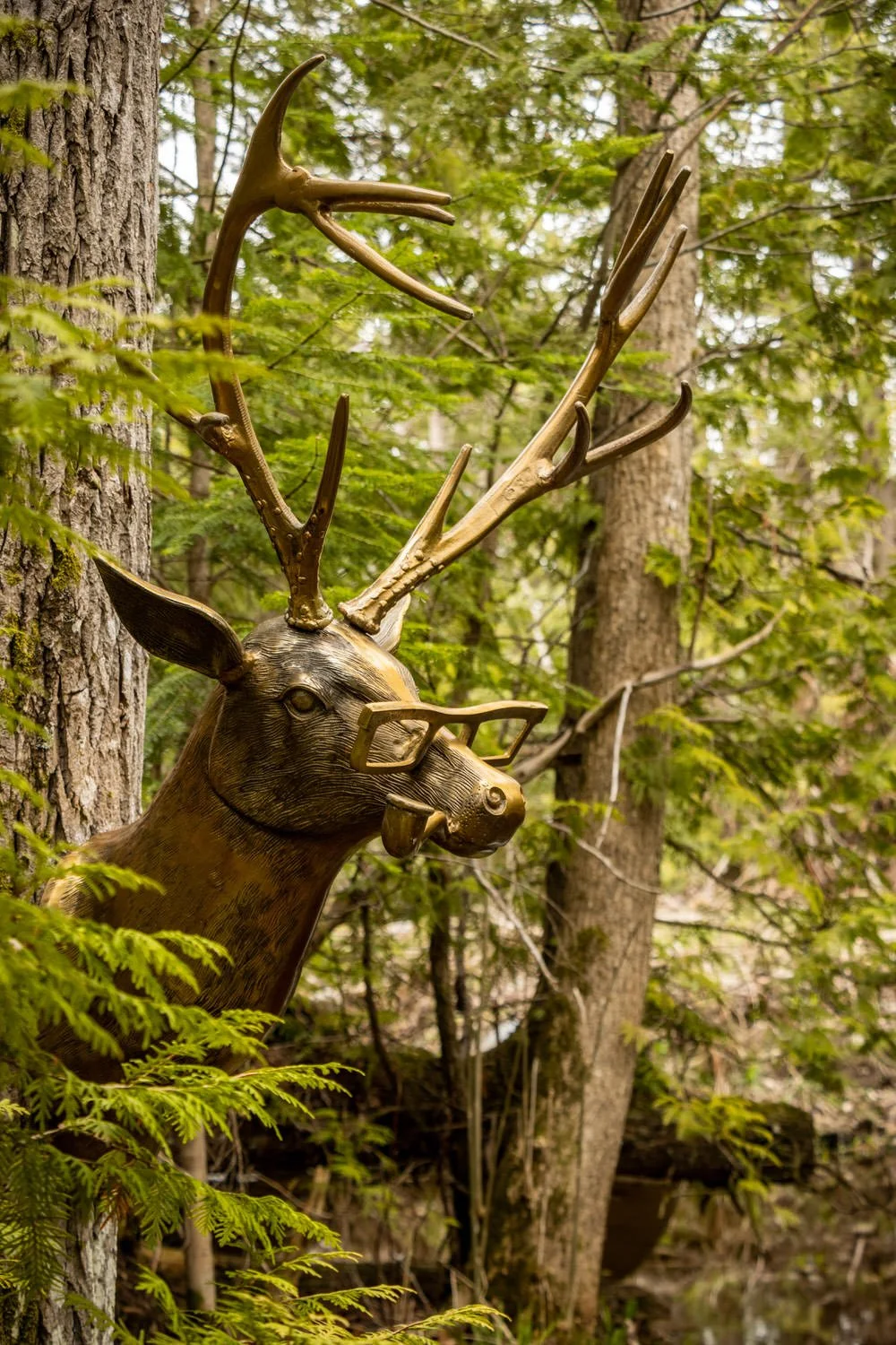 Frankie The Deer Wall Art Metal Sculpture