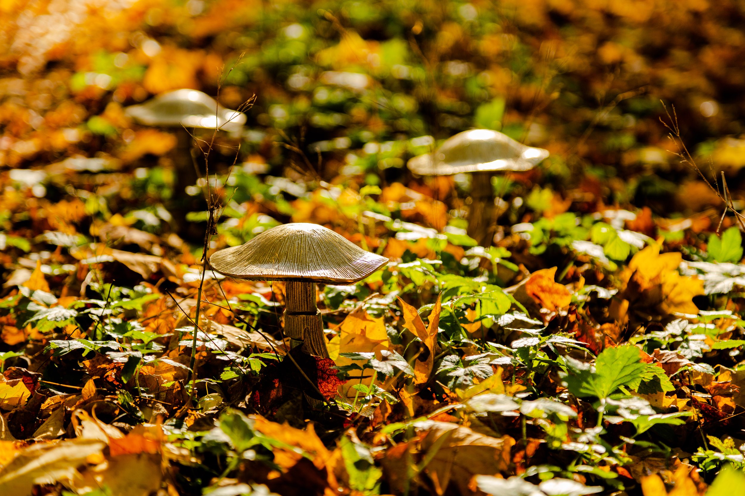 Forest Mushroom Pedestal - 10.jpg