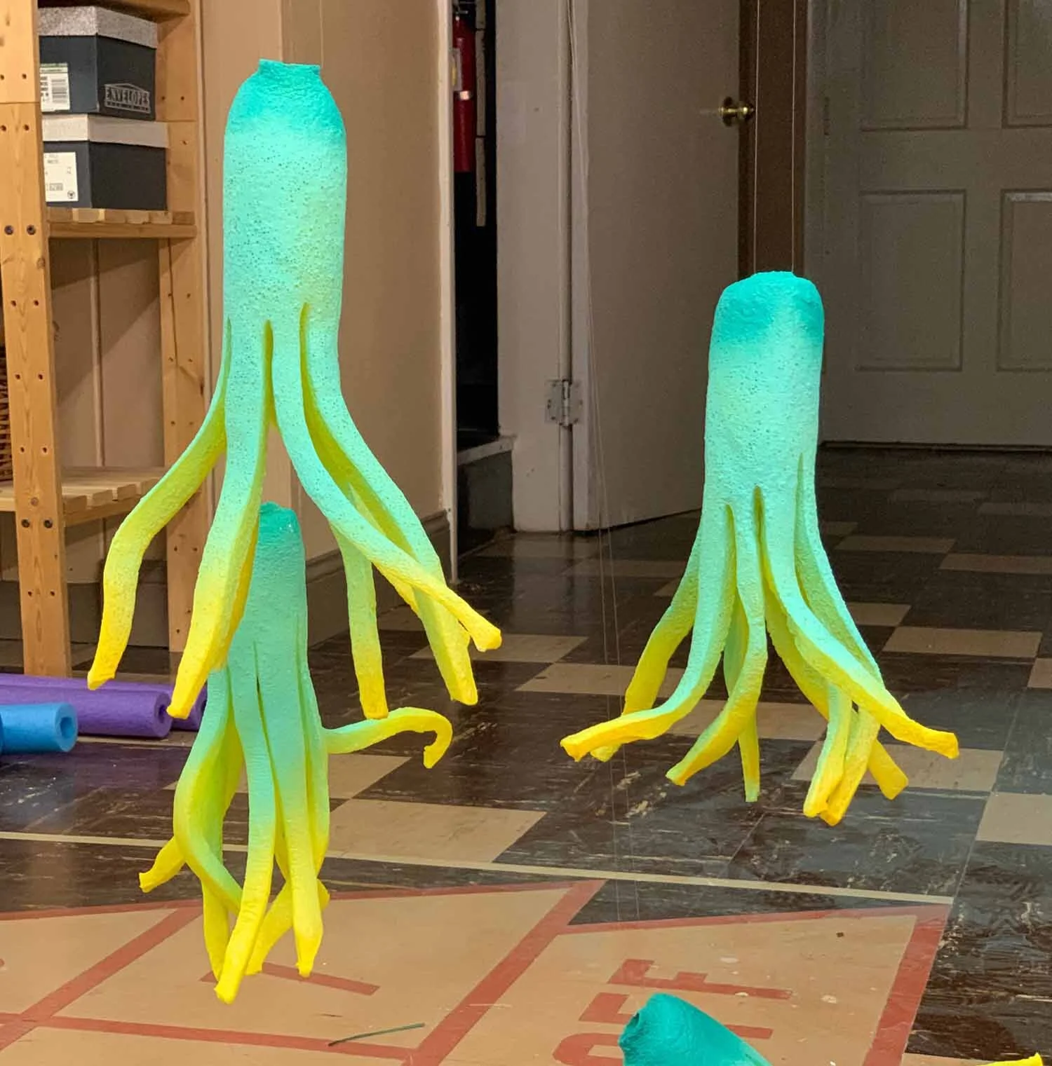 squid