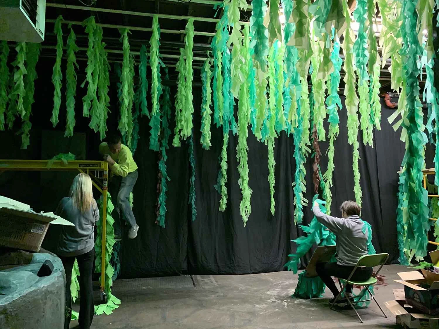 kelp forest