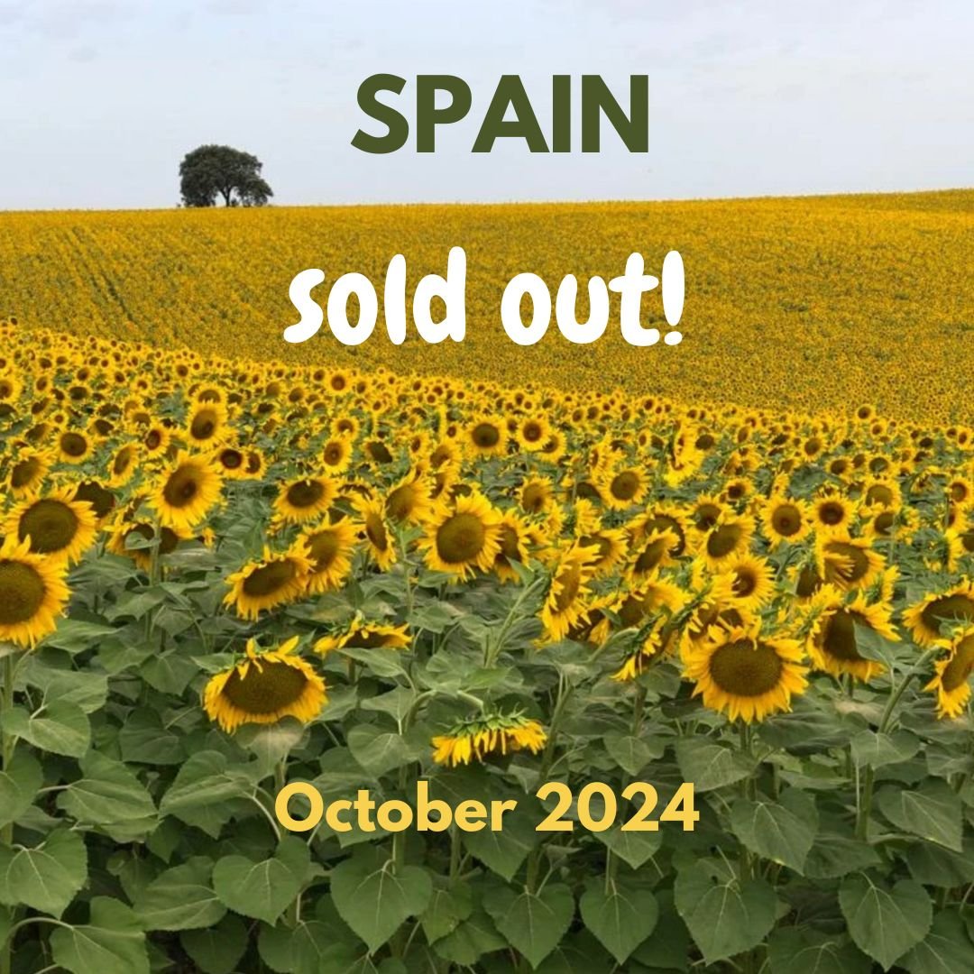 Painting Retreat Spain, October 2024