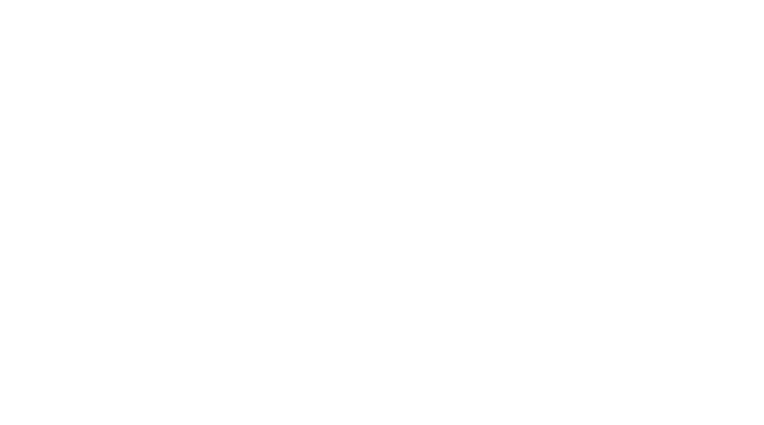 2024 State of Downtown