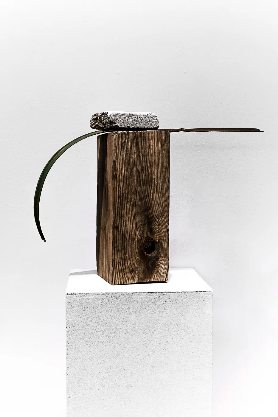 BIRD II
