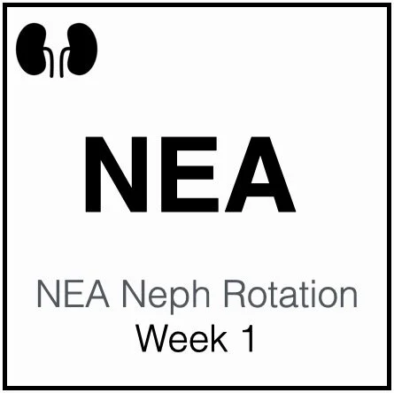 NEA Neph Week 1.jpeg