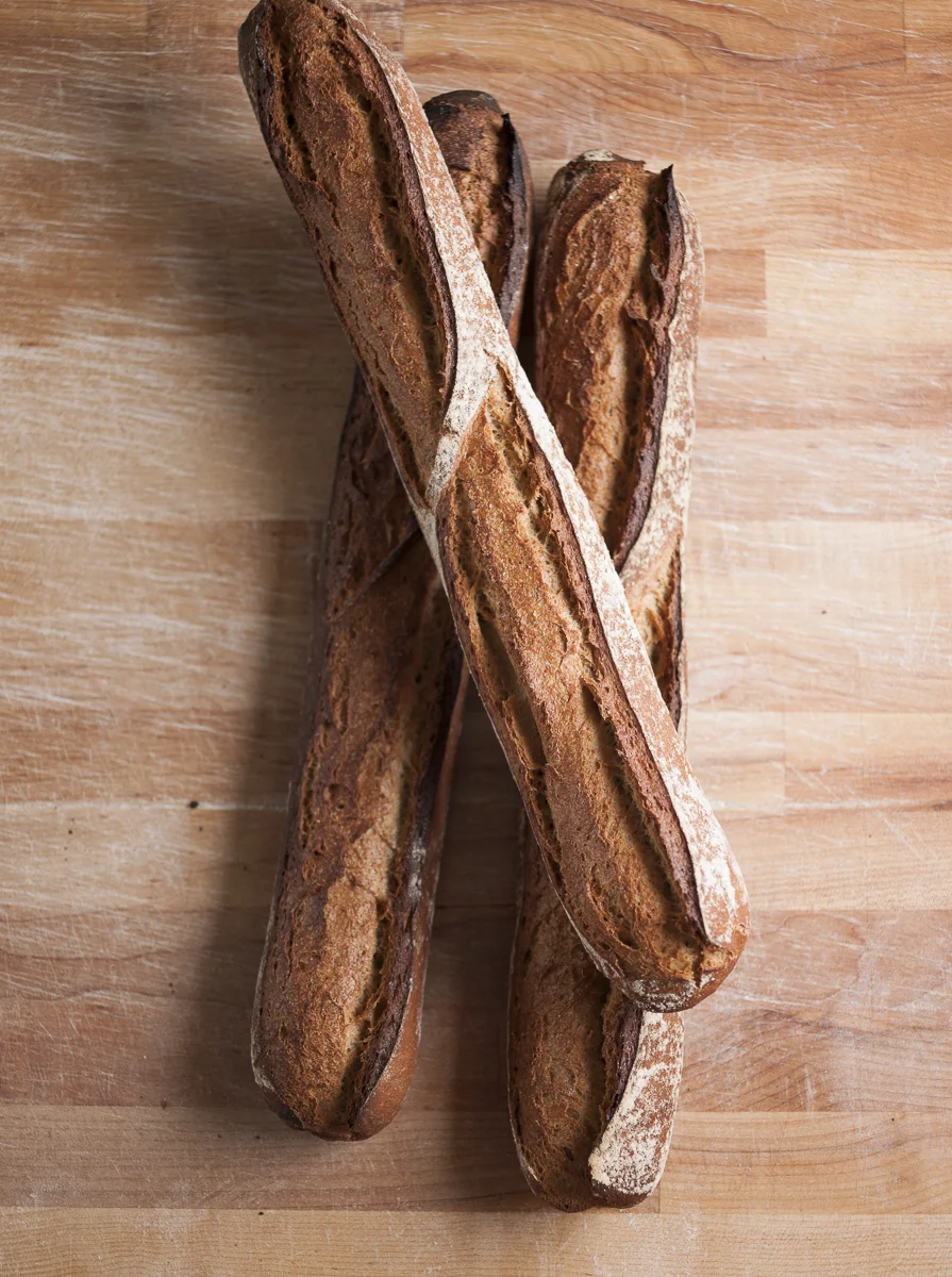 PILGRIM, ROADS ARE MADE BY WALKING