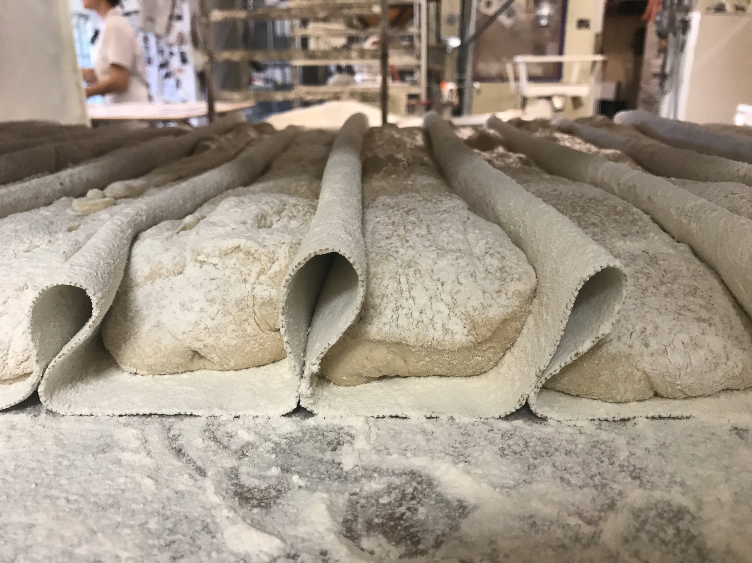 ciabatta dough ready to bake .JPG