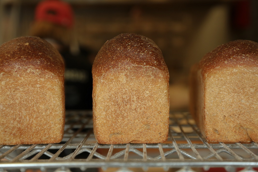 Sliced Bread Loaves.jpg