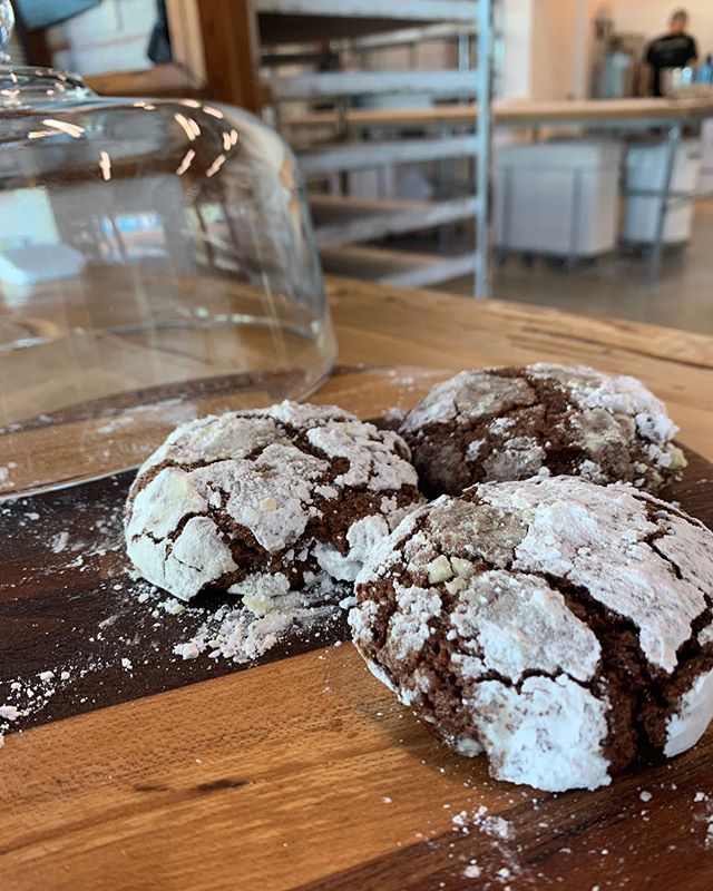 Fresh flour cookies (with rotating flavors) made with Bellegarde stone-milled flour are now available Tuesday - Saturday!
⠀⠀⠀⠀⠀⠀⠀⠀⠀
Come see us at the bakery! #Bellegarde
⠀⠀⠀⠀⠀⠀⠀⠀⠀
#wherenolaeats #eaternola #eatingnola #nolafoodie #nolafoodiegram #ev
