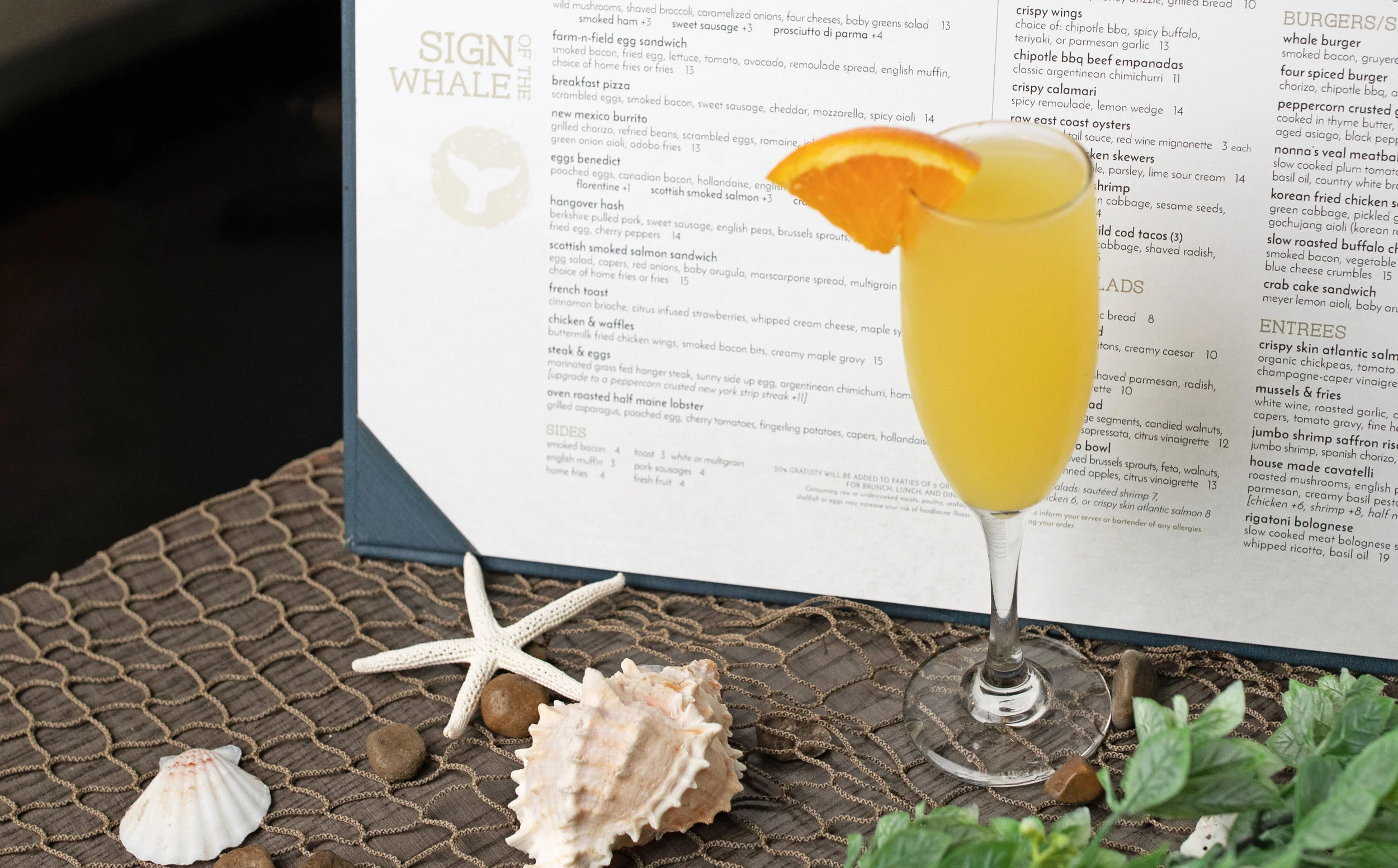 mimosa.jpg