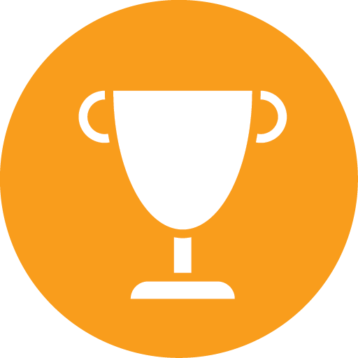 CV_excellence_icon.png