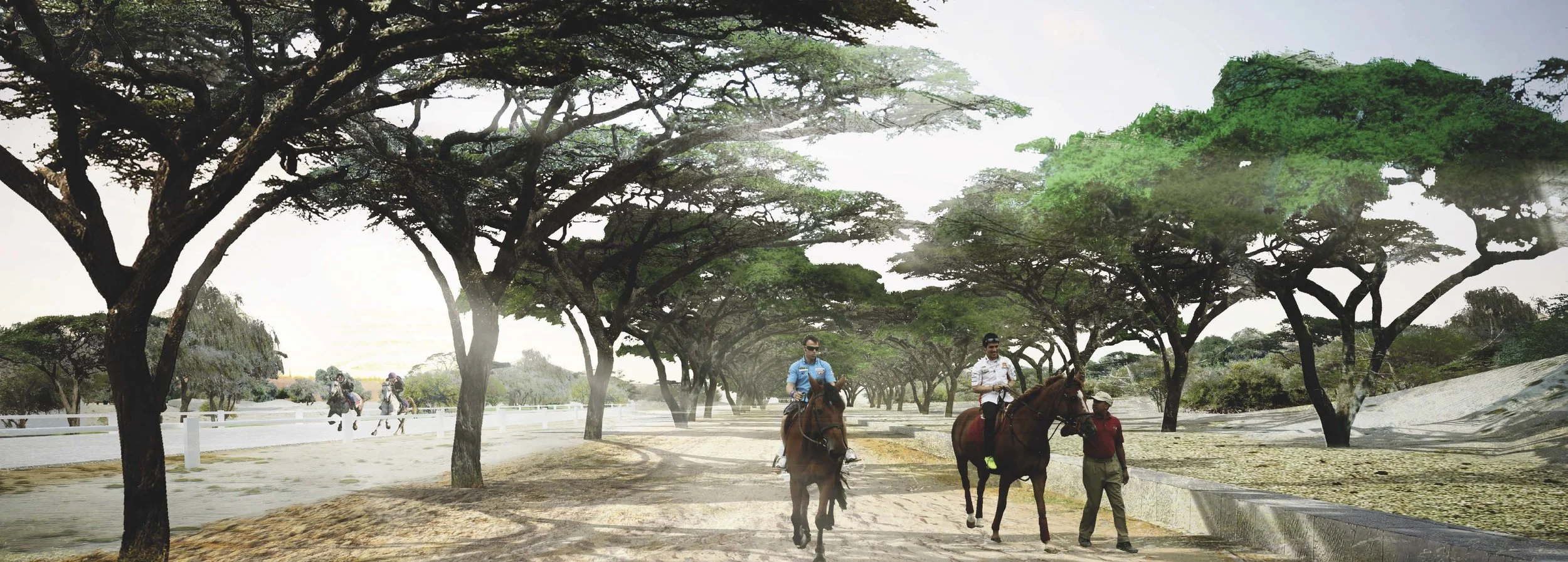 AL Shaqab 1.0.jpg