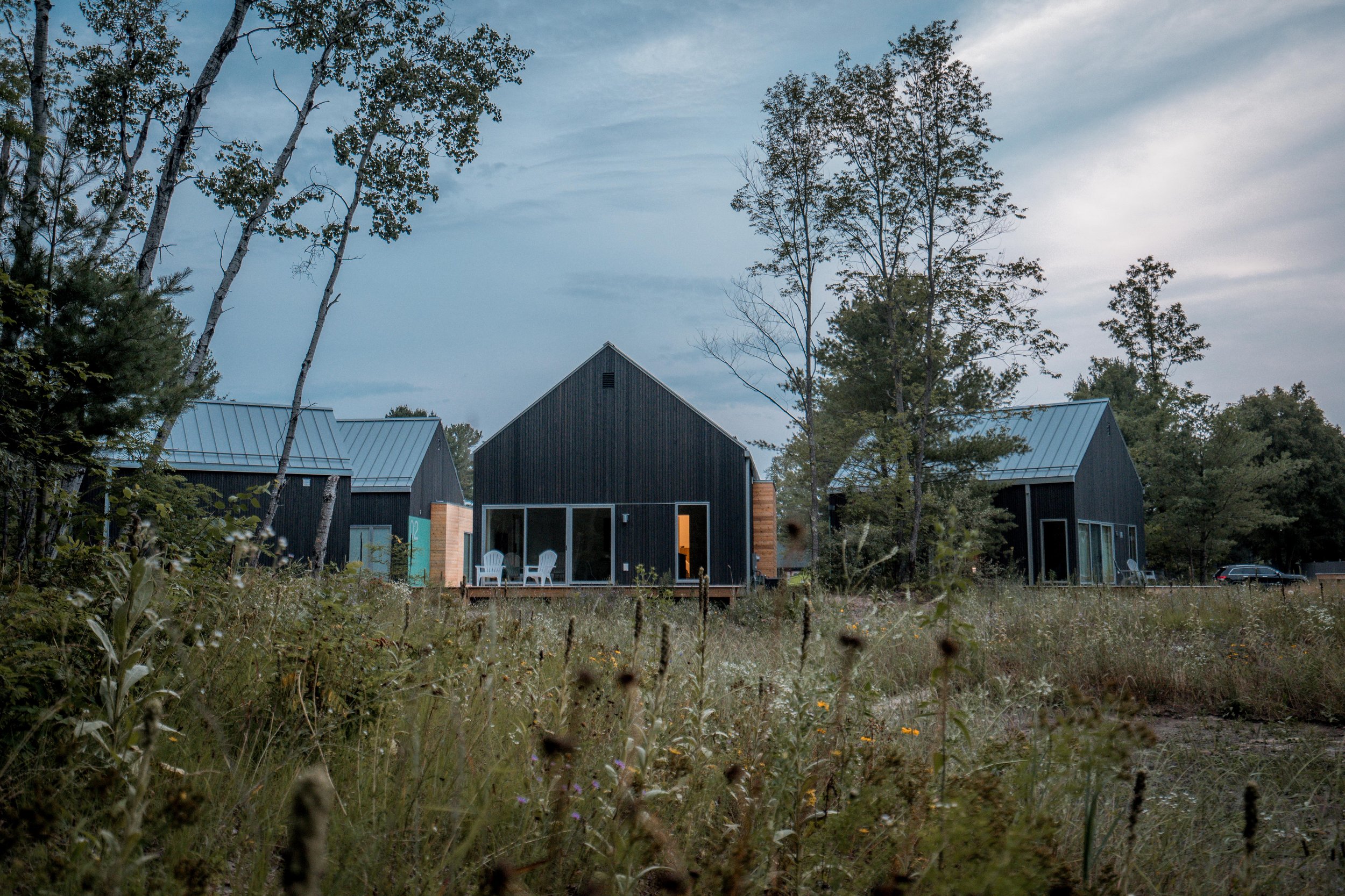 Several black wooden cabins with metal roofs are situated among trees and tall grasses, with a cloudy sky overhead.