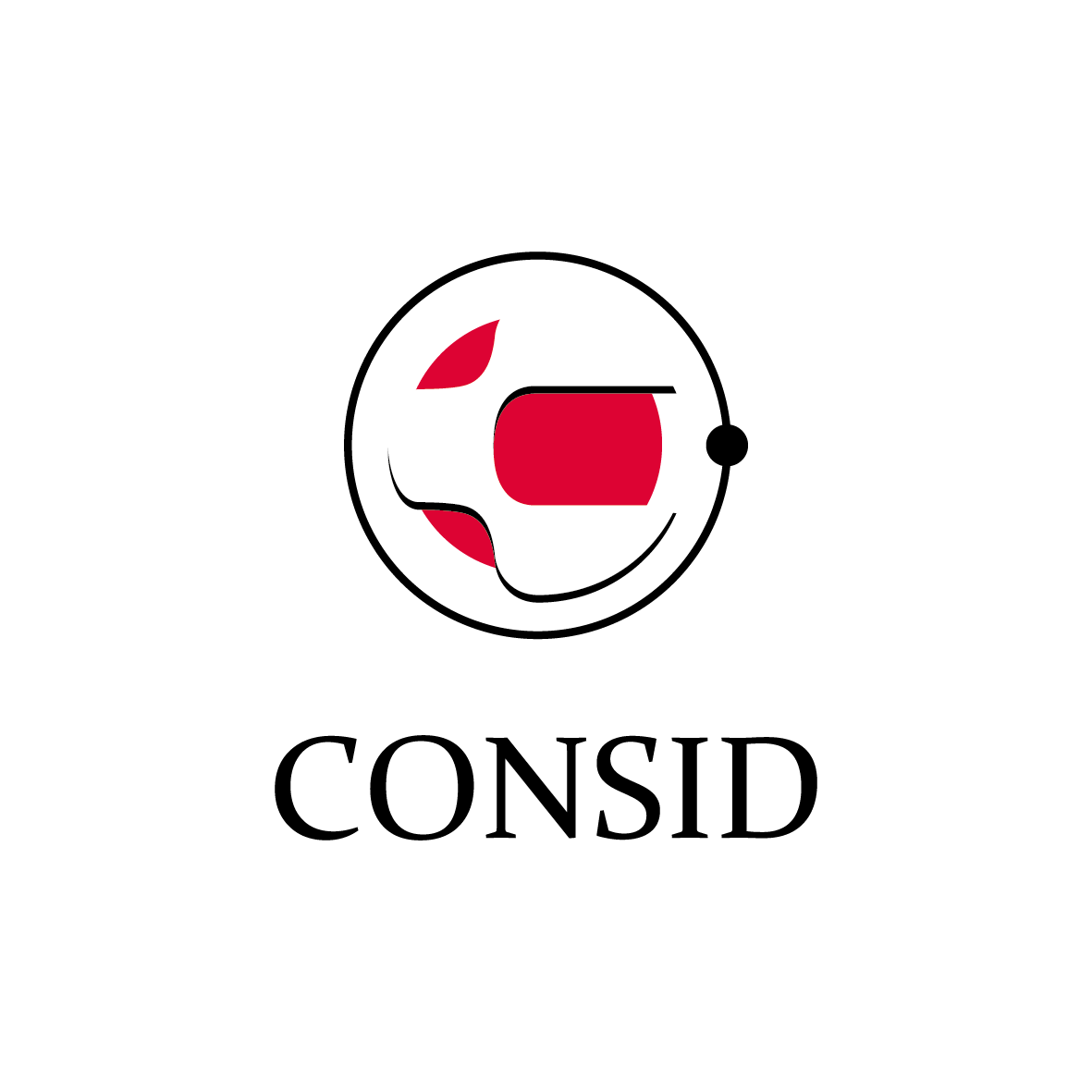 consid.se_logo-1.png
