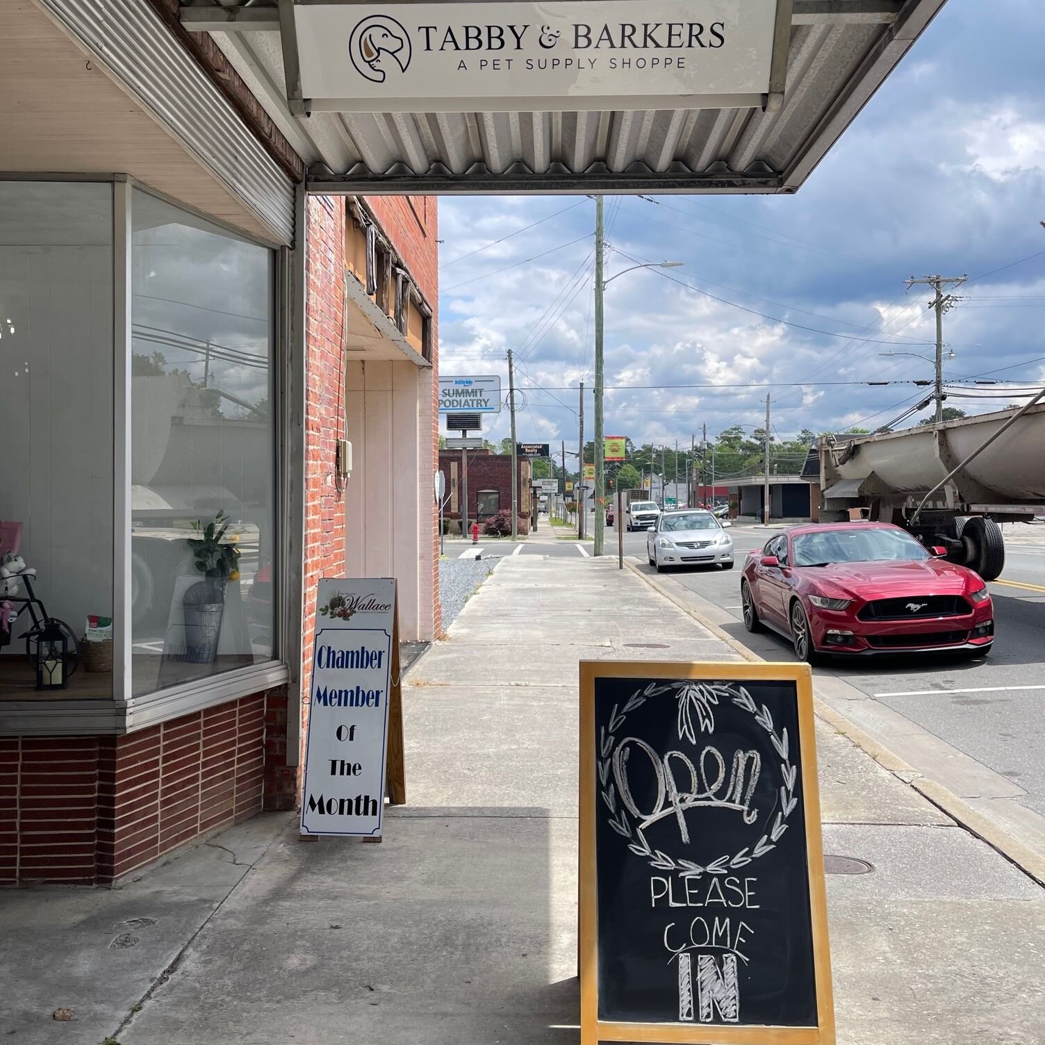 For those special pets in our lives that are really like family, stop by Tabby &amp; Barkers in downtown Wallace. They're open and stocked with tons of healthy treats for cats and dogs. Vonda Norris says Ziva, Bree and Breta's favorites are the blueb