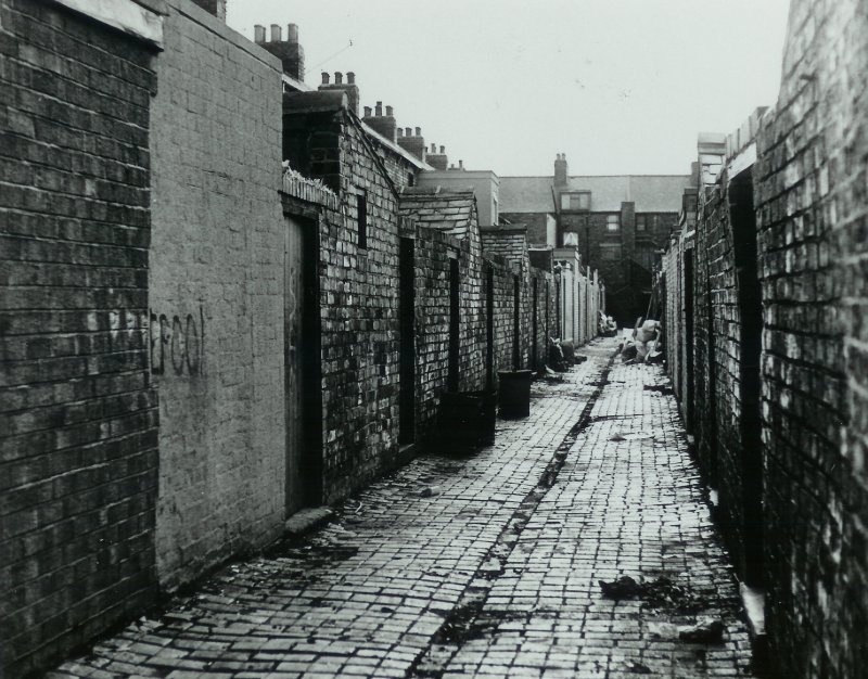 Image8.jpg