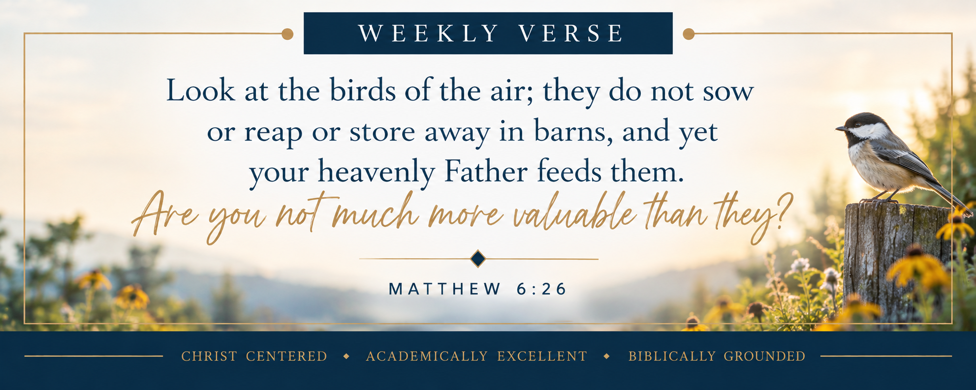 Weekly Verse_ Birds of the Air.png