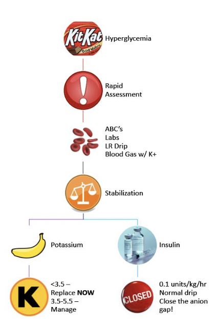 anion gap metabolic acidosis — Downloadable fun — Emergency Medicine Board  Review