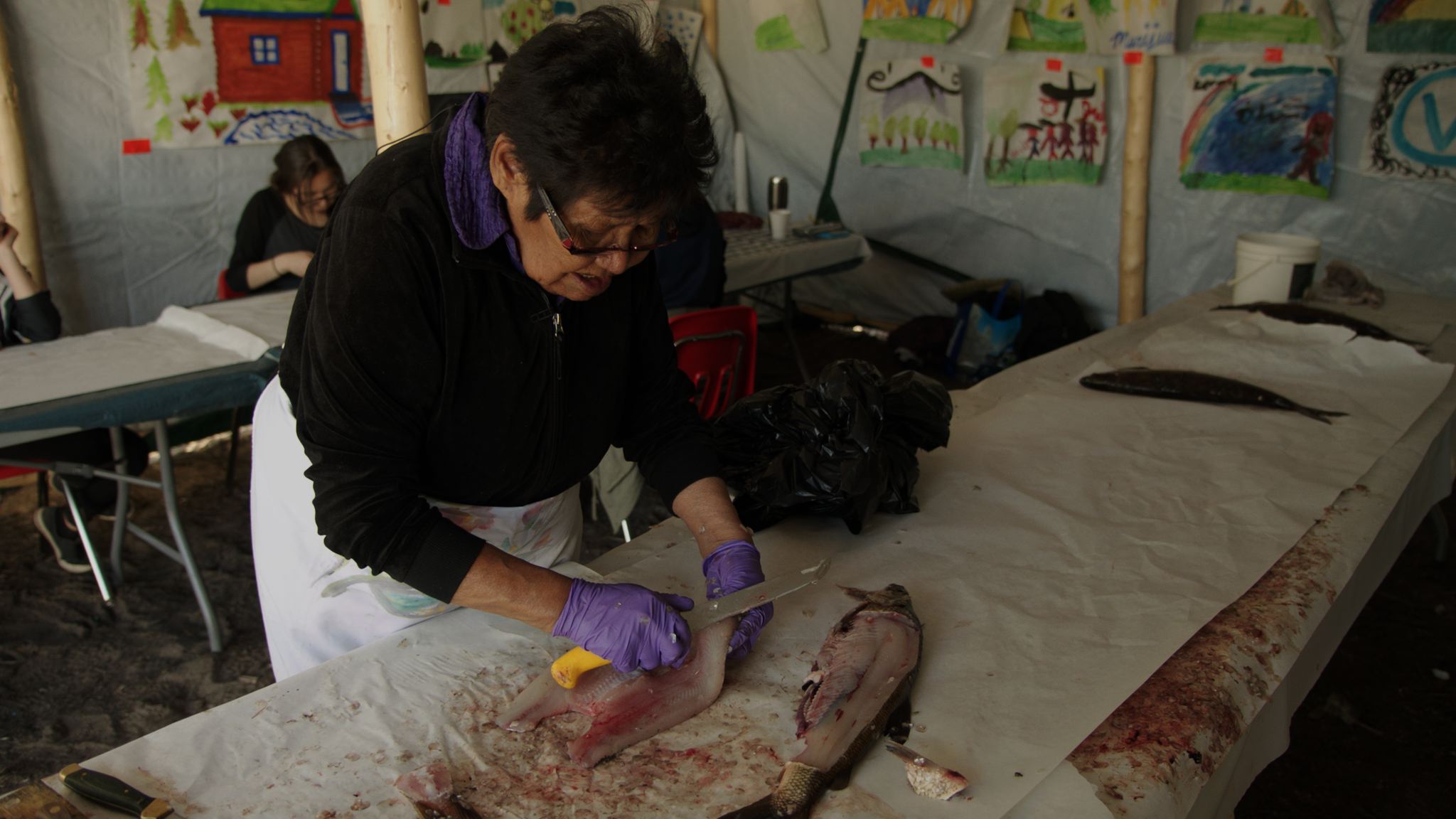  An elder from Black Lake, Saskatchewan, filets whitefish for smoking. 