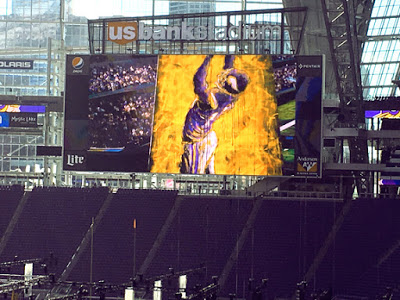 Minnesota Vikings