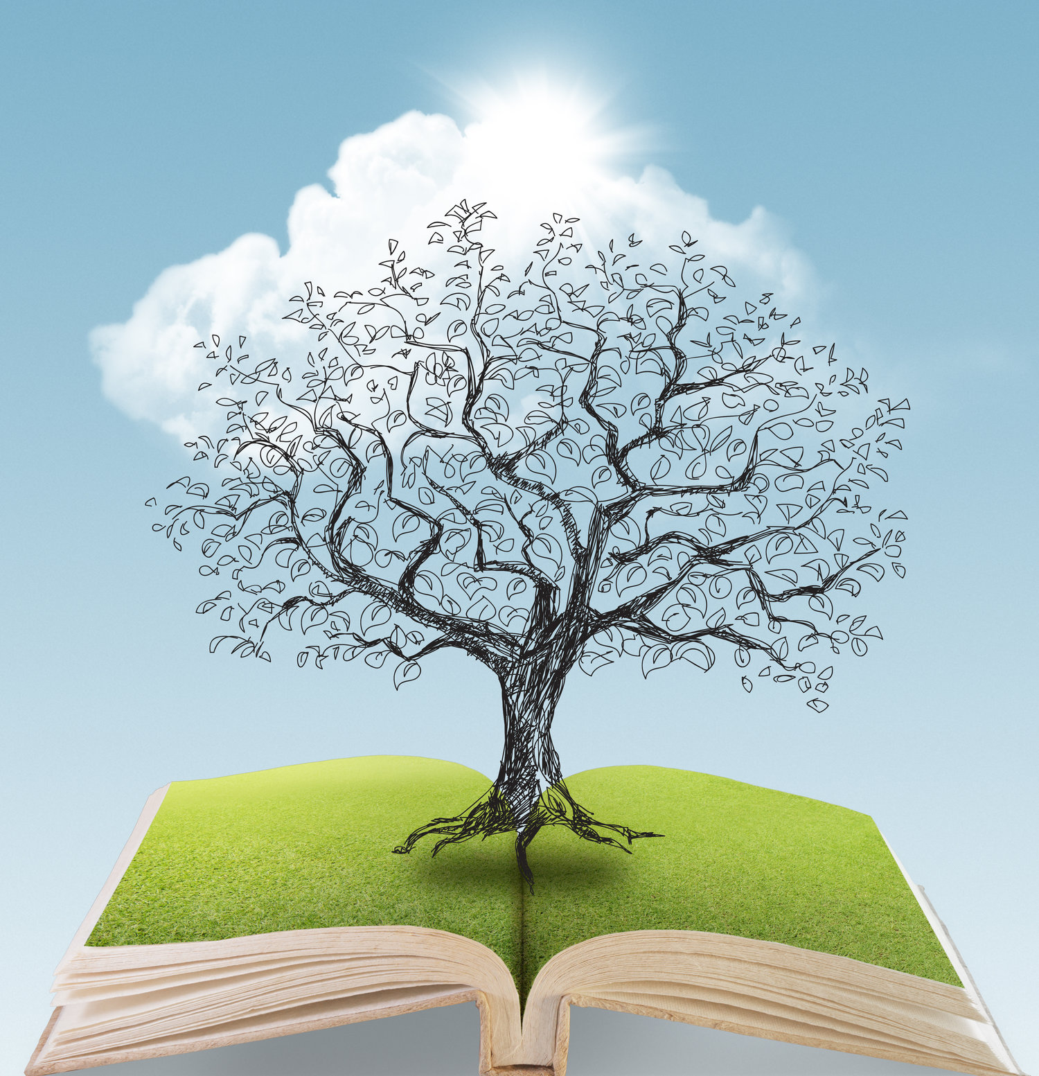 What can schools teach business?