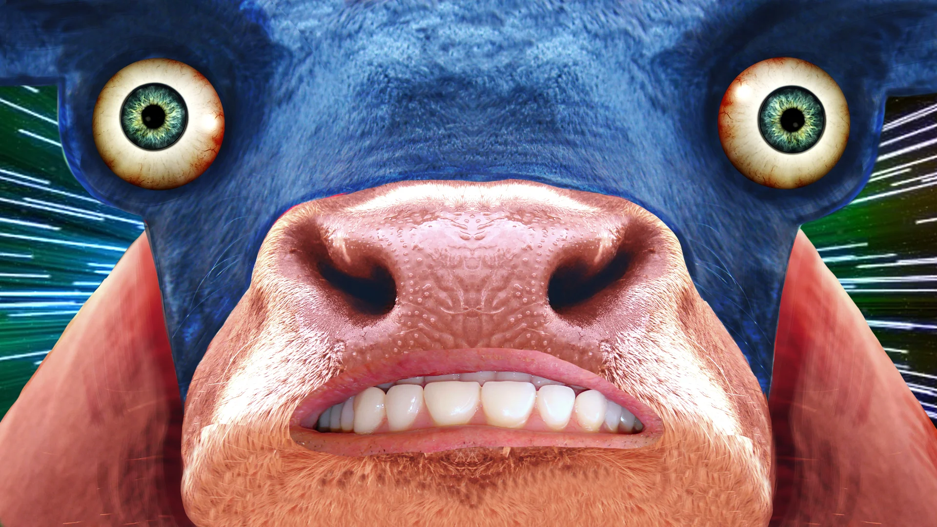 bull.jpg