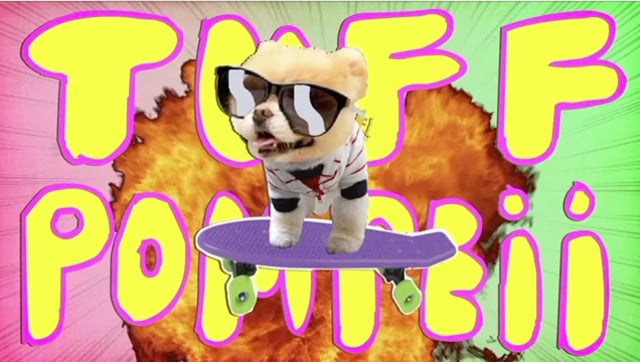 Tuff Pom - video 2
