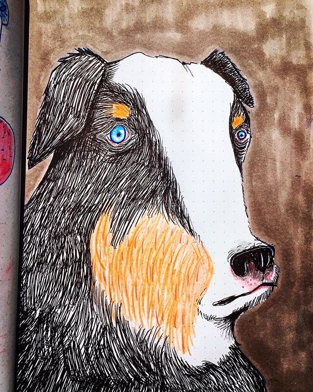 Lil lunch time dawg sketch.
.
.
.
#dogsofinstagram #dog #petportrait #ottawaart #sketchbook #quovadis