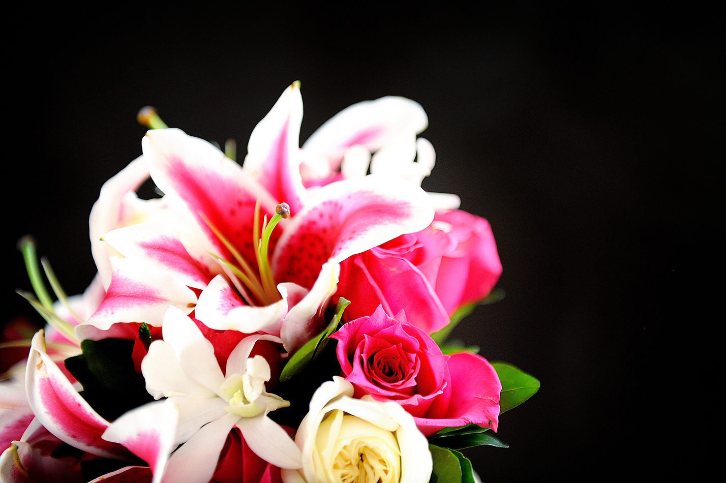 closeup of flowers with black background