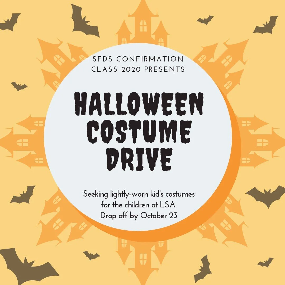Halloween-costume-drive-little-sisters-religious-education-confirmation-st-francis-de-sales-catholic-church-new-york.jpg