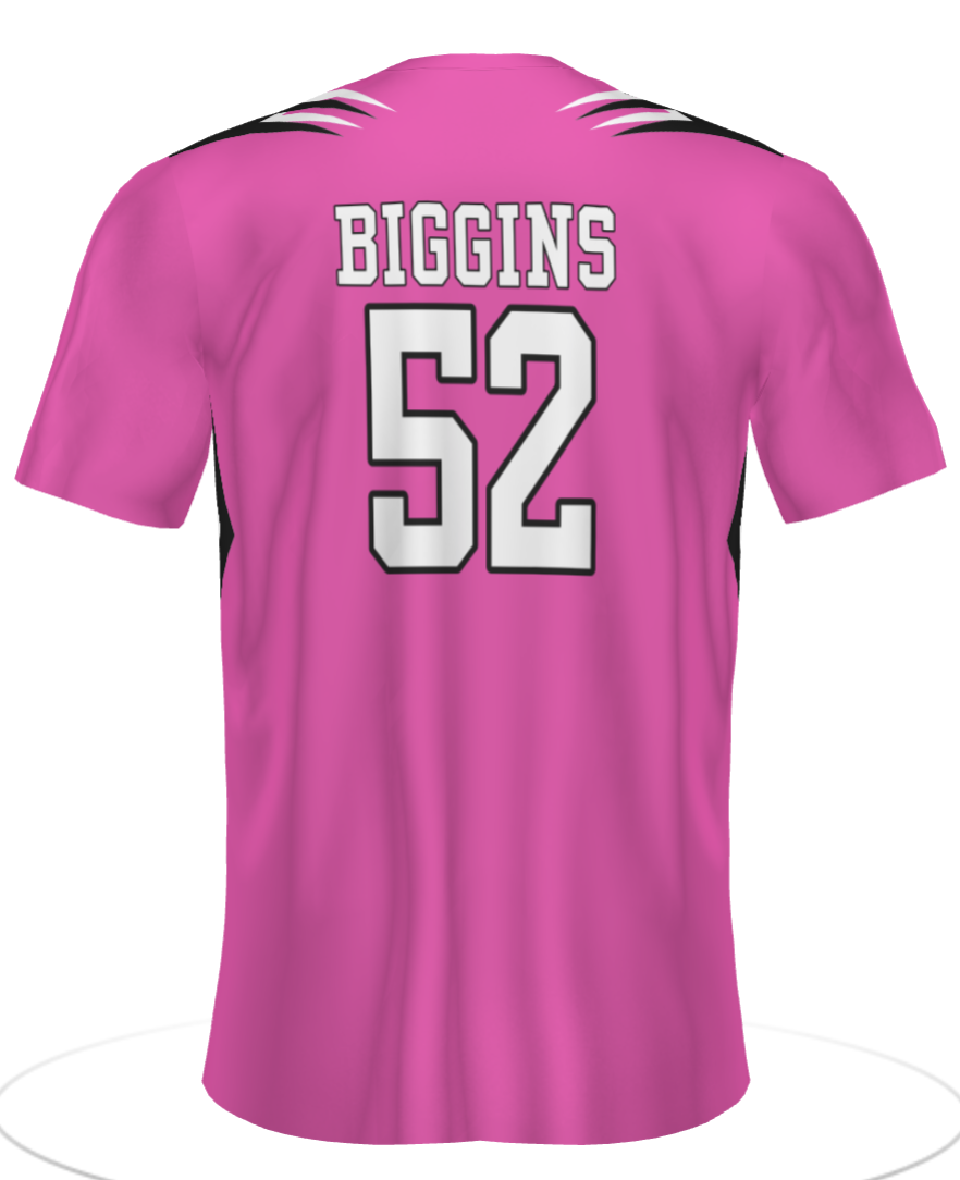 Screen Shot 2025-02-19 at 4.08.50 PM.png