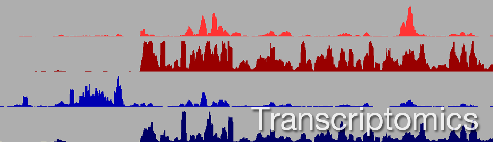 header-transcriptomics.png