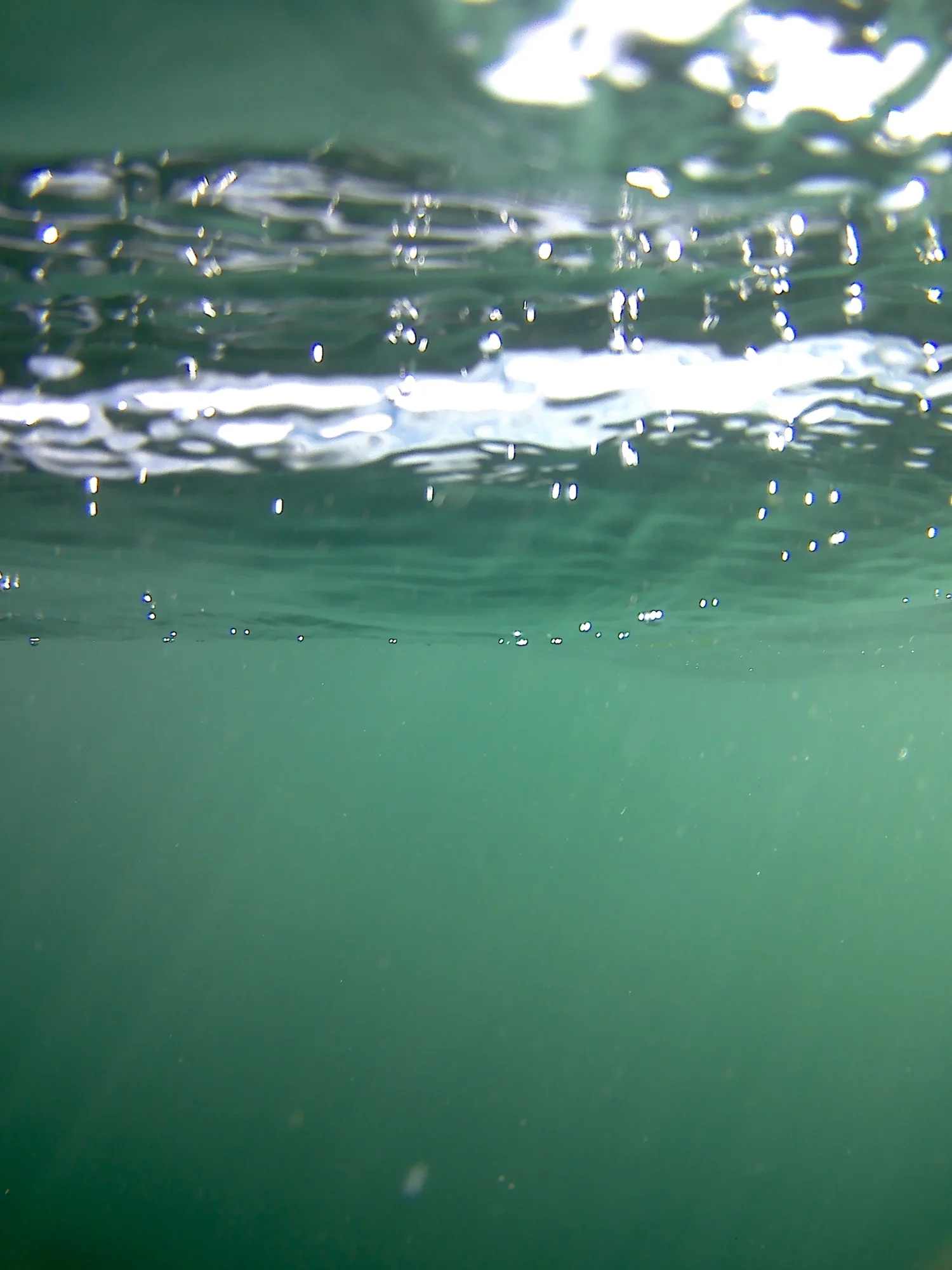 bubbles and light.jpg