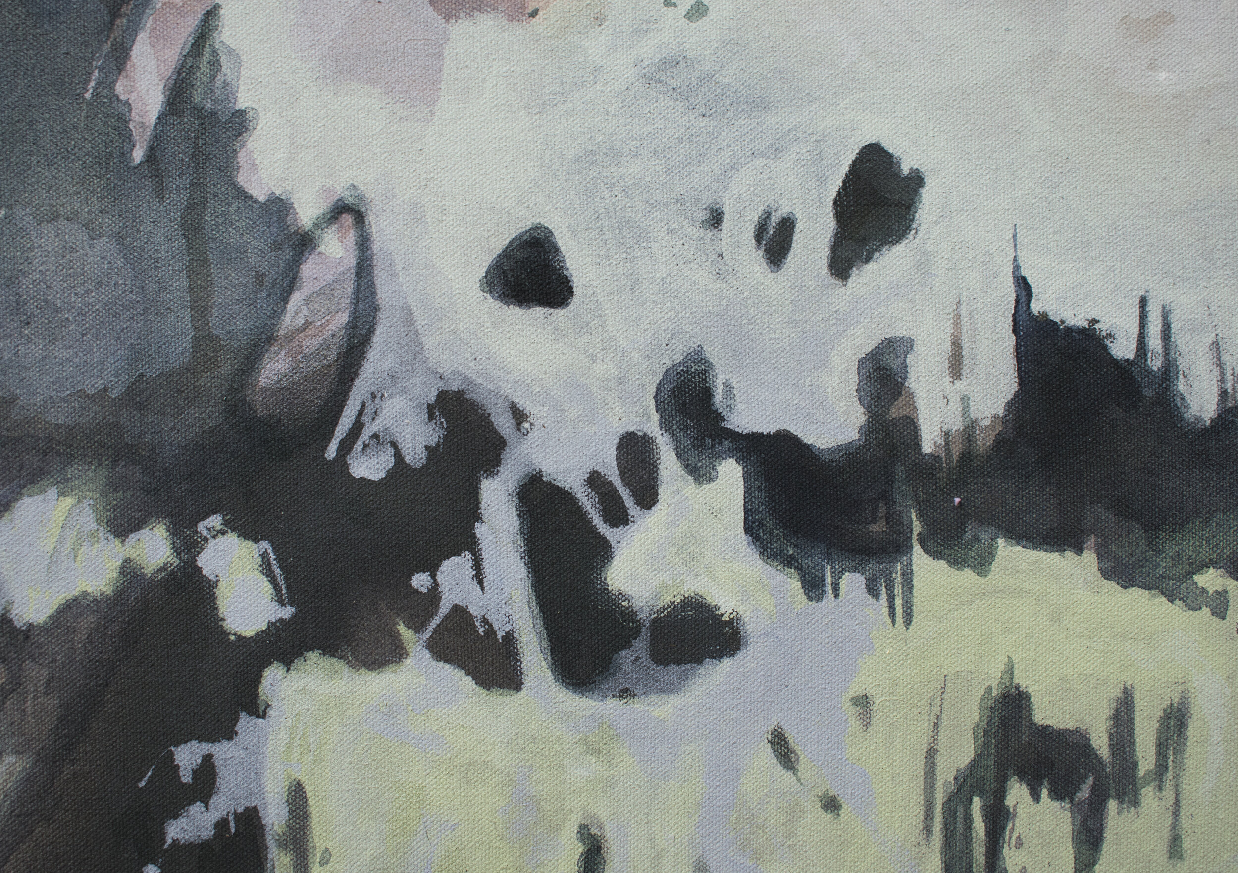 thesublimesnowdoniadetail2.jpg