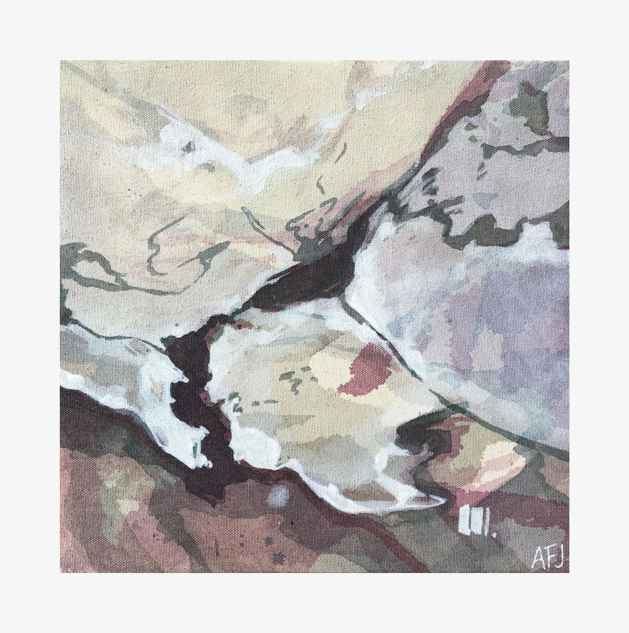 Morning Frost - Snowdonia