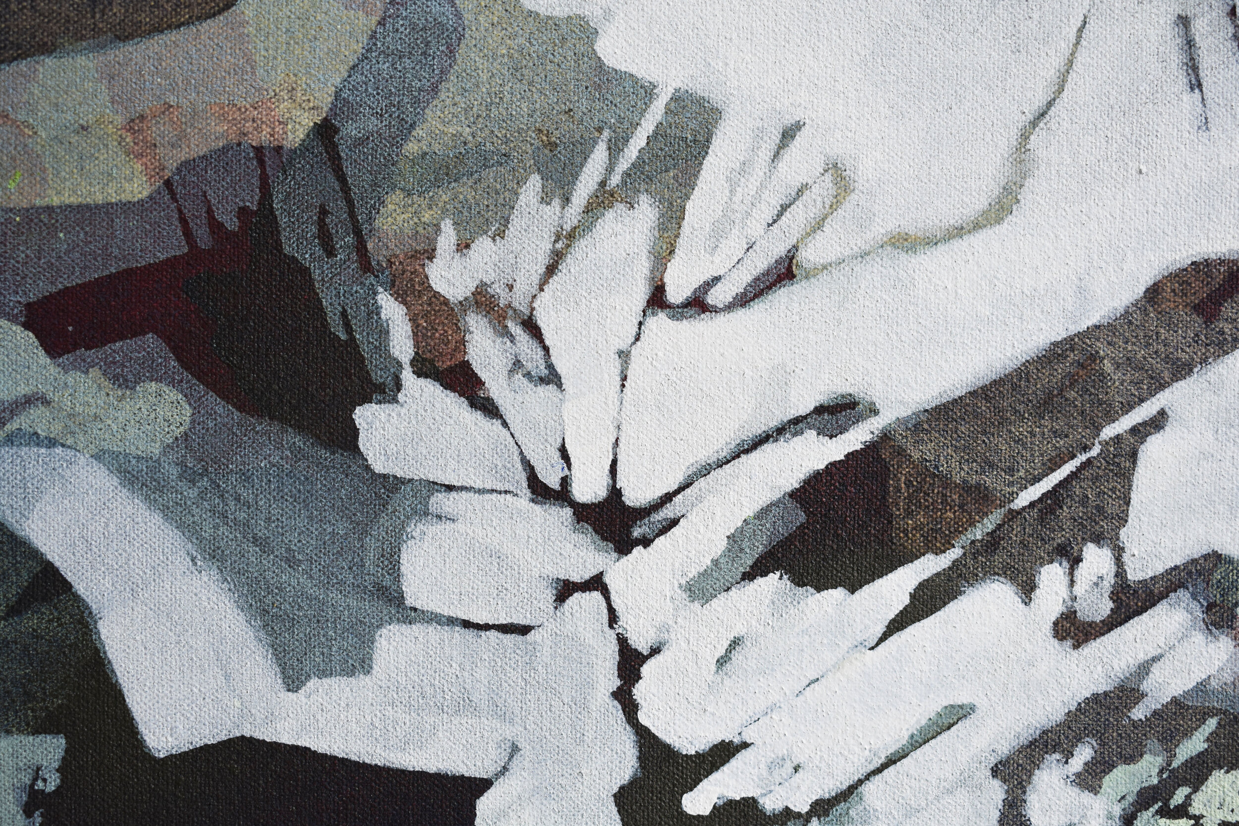 Snow Covered Fields detail 1 .jpg