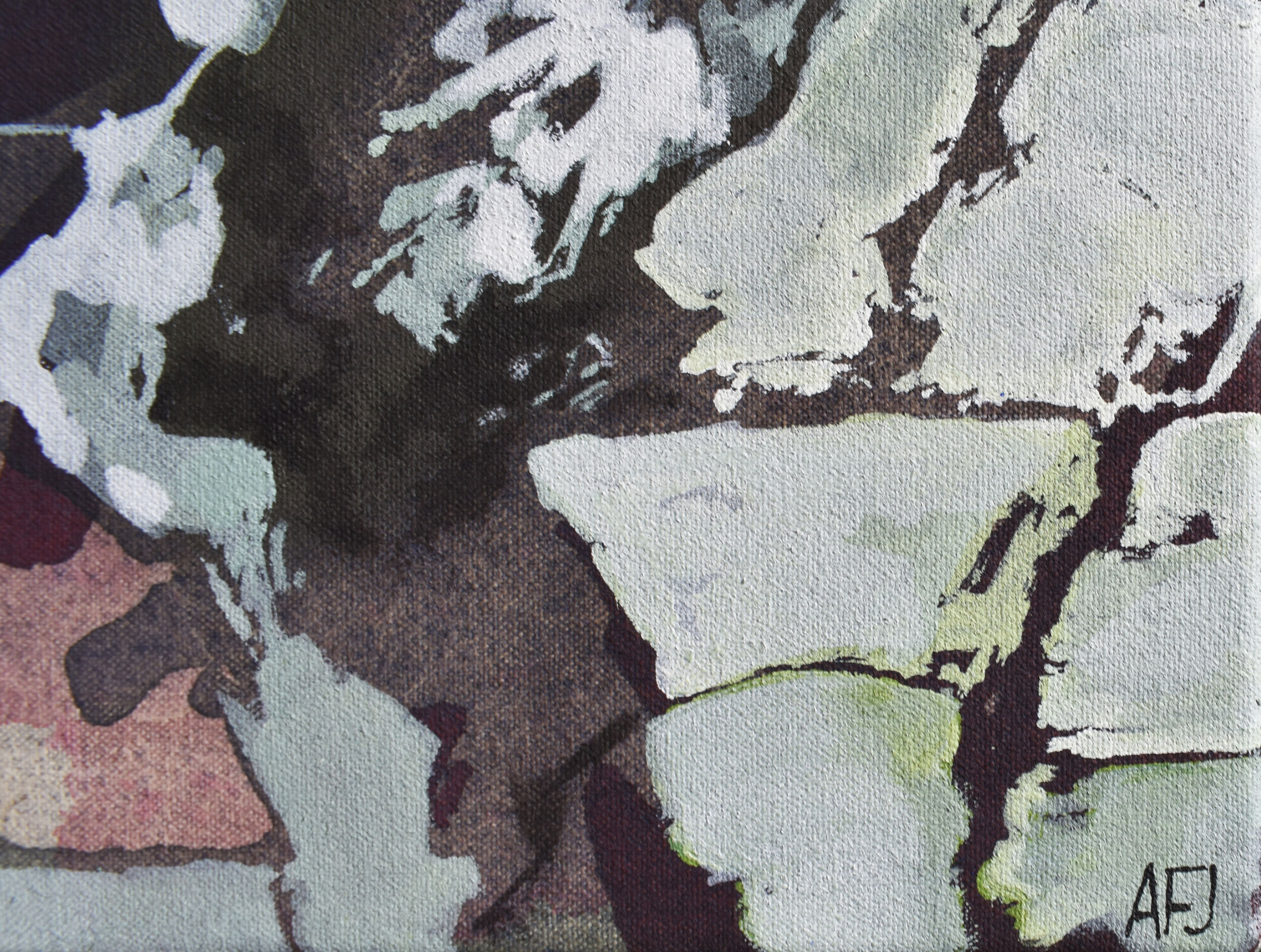 snow covered fields detail 3.jpg